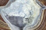 Crystal Filled Dugway Geode (Polished Half) #121705-1